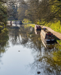 Spring Landscape at the  Grand Union Canal