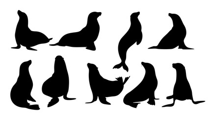 set of sealion silhouette vector on white background