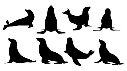 set of sealion silhouette vector on white background
