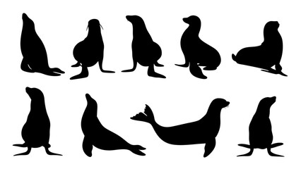 set of sealion silhouette vector on white background