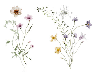 Watercolor Illustration Bouquet of Summer Meadow Flowers and Herbs