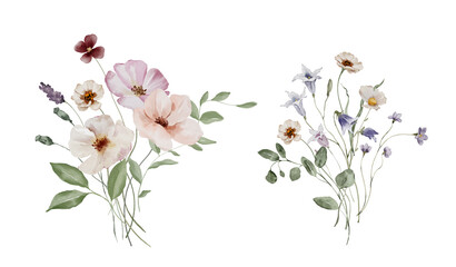 Watercolor Illustration Bouquet of Summer Meadow Flowers and Herbs