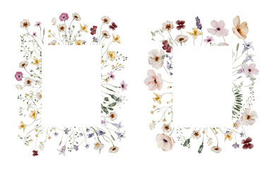 Watercolor Frame with Summer Meadow Flowers and Herbs