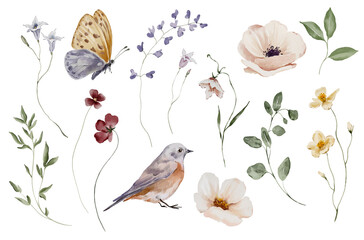 Set of watercolor elements with meadow flowers and butterflies