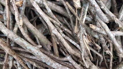 A Close-Up View of a Pile of Grey and Brown Twigs and Branches