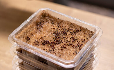 Stacked plastic containers with watered seeds of micro greens on jute mats. Food