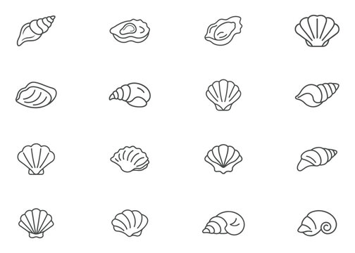 Set of sea shells line icon on white background