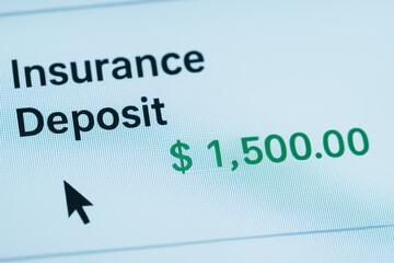 Insurance deposit of $1,500.00 reflects secure retirement with life insurance planning for stable future