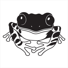 Red-Eyed Tree Frog – Vibrant Amphibian of the Rainforest