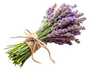 A Bouquet of Lavender