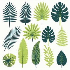 Tropical Leaves Illustration Set Isolated on White Background