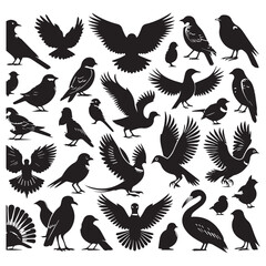 Set of black bird silhouettes. Sparrow, Eagle, Robin, Hawk, Owl, Duck, Swan, Pigeon, Parrot, Crow, Seagull, Falcon, Hummingbird, Peacock, Canary, Pelican, silhouettes white background