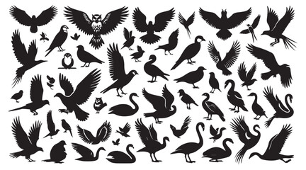 Set of black bird silhouettes. Sparrow, Eagle, Robin, Hawk, Owl, Duck, Swan, Pigeon, Parrot, Crow, Seagull, Falcon, Hummingbird, Peacock, Canary, Pelican, silhouettes white background