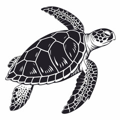 Sea Turtle vector silhouette black design white background
