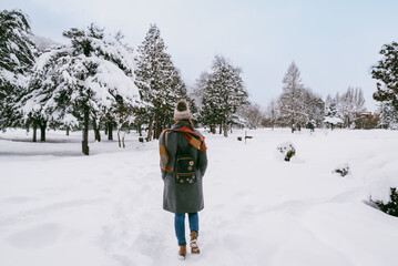 Winter Walk Through Snowy Forest

