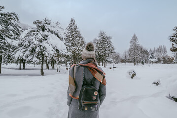Winter Walk Through Snowy Forest