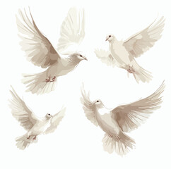 Obraz premium illustration, drawing, fly, vector, bird, white, symbol, wing, animal, graphic, dove, freedom, isolated, peace, background, nature, art, concept, flight, decorative, pigeon, branch, icon, design, wild