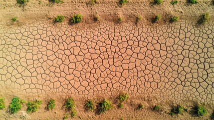 Arid land cracked earth with green sprouts, aerial view, parched ground