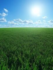 Obraz premium Green Grass Field Under Blue Sky with White Clouds on Sunny Day