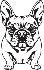 French bulldog. Vector illustration