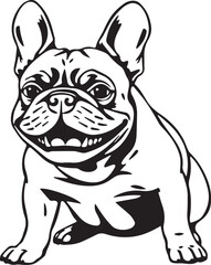 French bulldog. Vector illustration