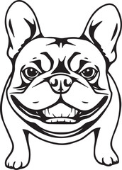 French bulldog. Vector illustration