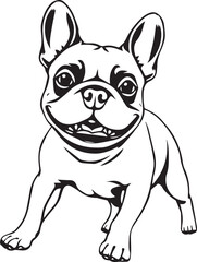 French bulldog. Vector illustration