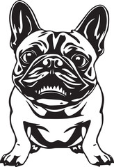 French bulldog. Vector illustration