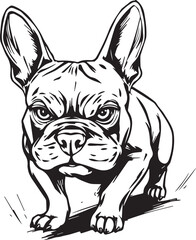 French bulldog. Vector illustration