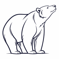 Simple a Bear line art vector design white background
