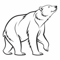 Simple a Bear line art vector design white background