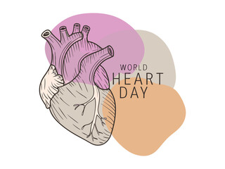 A stylized, hand-drawn anatomical heart graphic on a light background, with abstract, pastel-colored shapes. Hand-drawn heart graphic for World Heart Day.