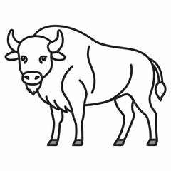Simple a Bison line art vector white background