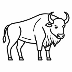Simple a Bison line art vector white background