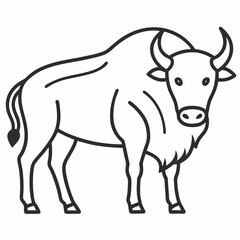 Simple a Bison line art vector white background