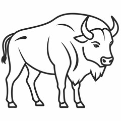 Simple a Bison line art vector white background