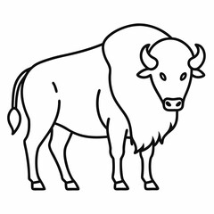 Simple a Bison line art vector white background