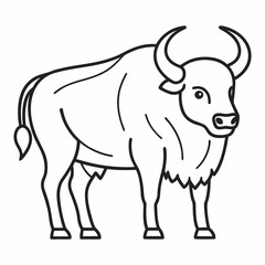 Simple a Bison line art vector white background