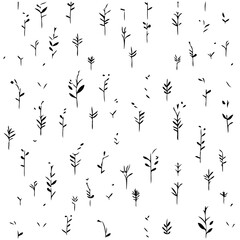 Botanical Background With Small Plant Silhouette
