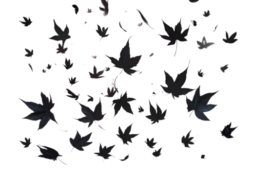 black leaves