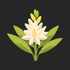Obraz premium Floral Vector icon, jasmine Flower Beautiful Illustration , Cute and soft looking flower