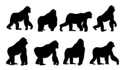 set of gorilla silhouette vector on white background