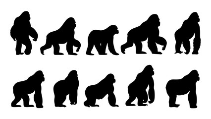 set of gorilla silhouette vector on white background