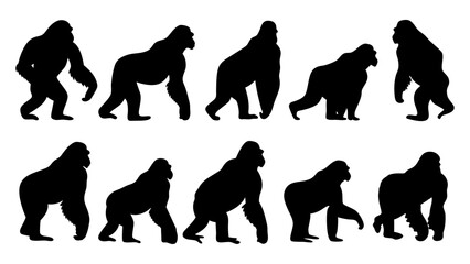 set of gorilla silhouette vector on white background