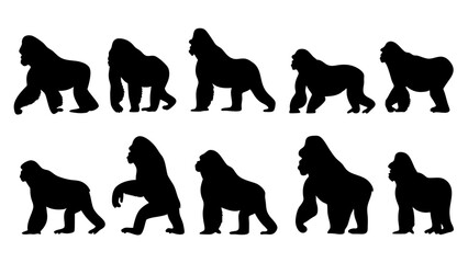 set of gorilla silhouette vector on white background