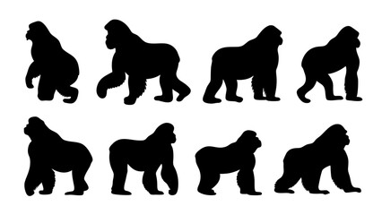 set of gorilla silhouette vector on white background