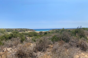 Lush Mediterranean vegetation framing pristine Cala Mosche beach, nestled along Syracuse coastline in Sicily