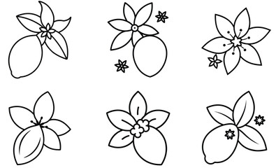 A seamless vector pattern showcases a set of floral butterflies, a beautiful spring nature illustration