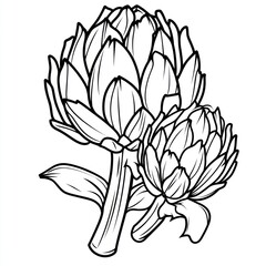 Obraz premium Detailed black and white illustration depicting artichokes on white background