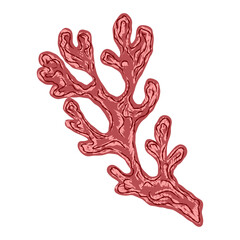 stylized technique. Marine world,  texture, pencil marker strokes. Vector element	